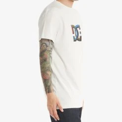 DC Shoes Dc Star Dimensional Tss -winter gloves shop DCShoes M Star Dimensional Tss Lilly White 2022 3 1